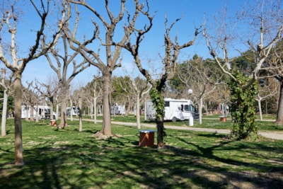 Pitch Premium Area — 1