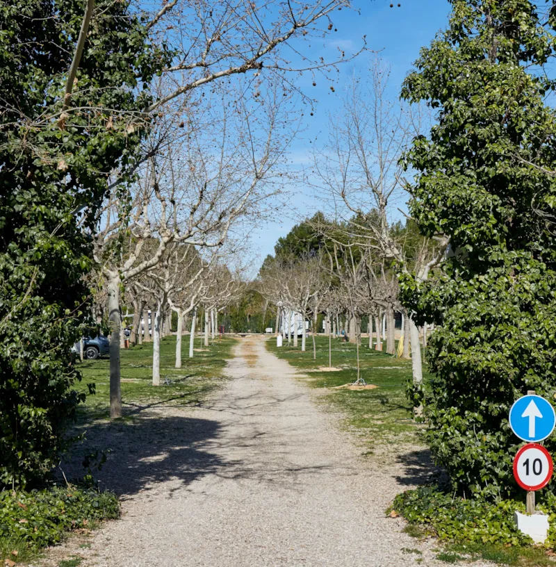 Emplacement Zone Premium