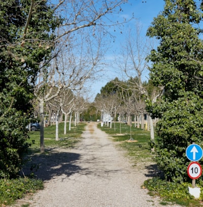 Pitch Premium Area — 2