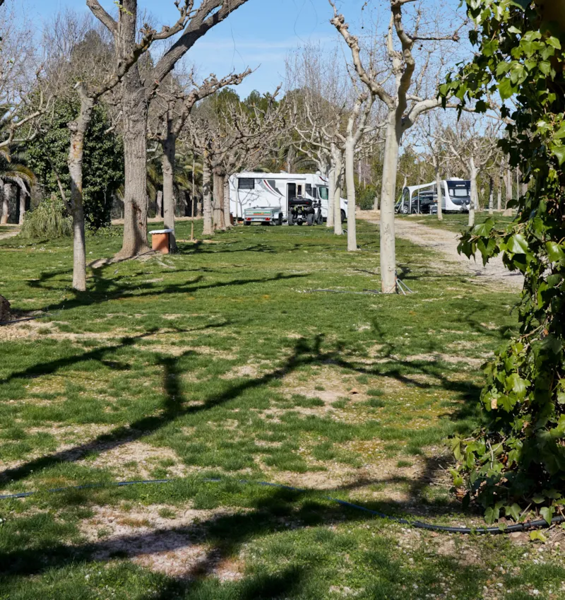 Emplacement Zone Premium