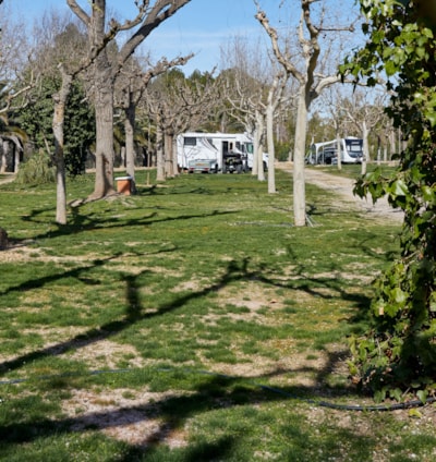 Pitch Premium Area — 3