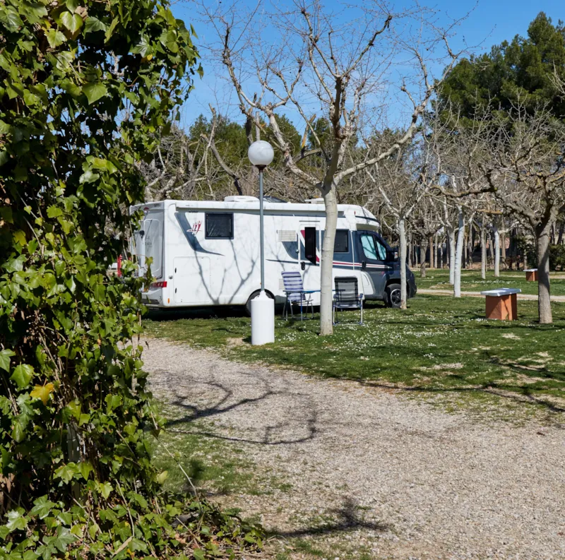 Emplacement Zone Premium