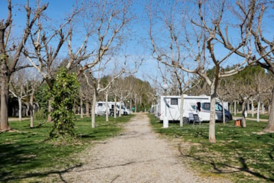 Pitch Premium Area — 5