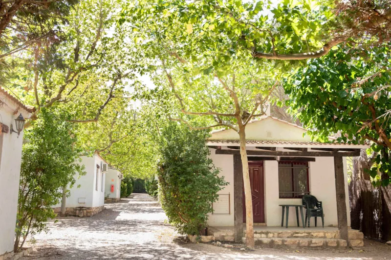 Premium Couple Albada