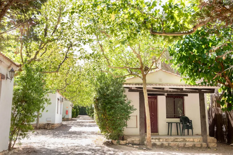 Essential Couple Carpa