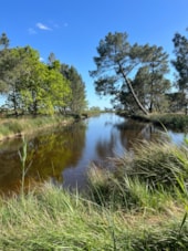 Camping Les Ecureuils