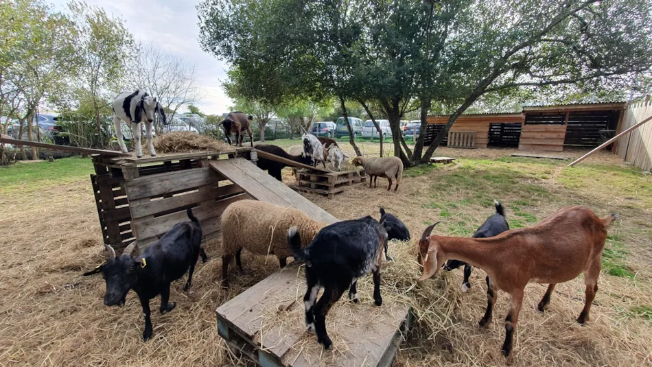Domaine de la Baie Dorée