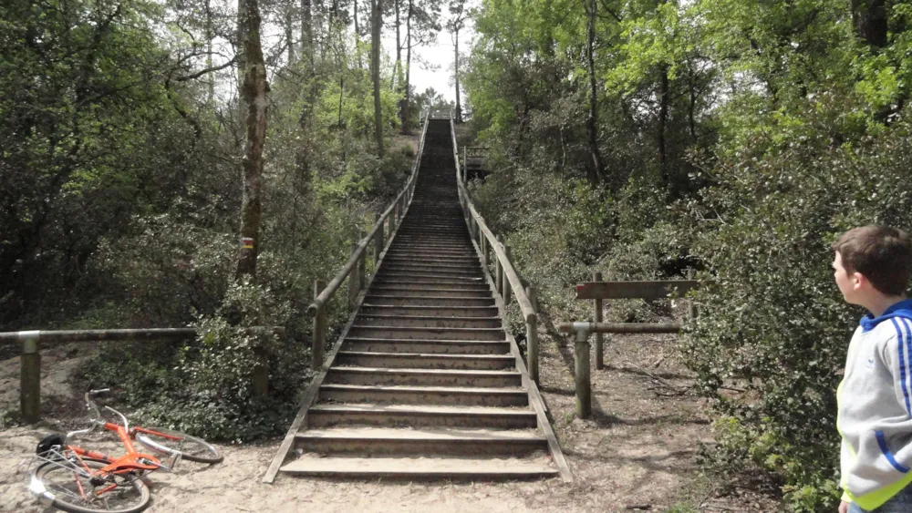 Camping Le Lagon Bleu - image n°40 - UniversalBooking