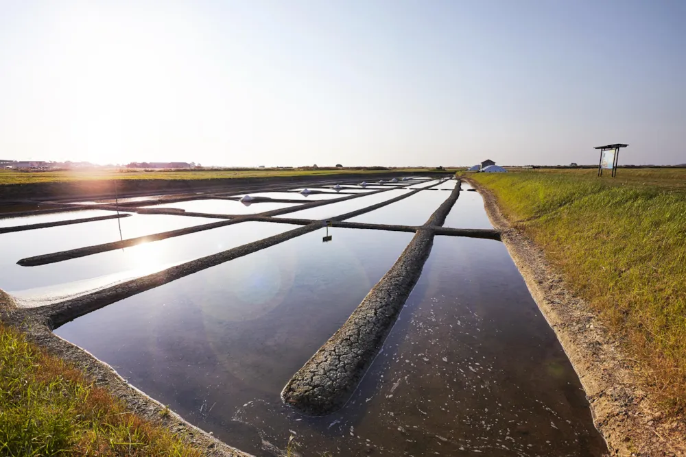 Camping Le Lagon Bleu - image n°41 - UniversalBooking