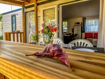 Mobile home Toscane 2 bedrooms with terrace