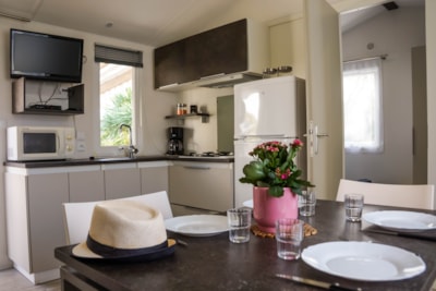 Mobile home Ibiza 2 bedrooms with terrace