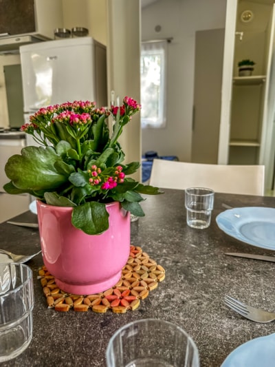 Mobile home Ibiza 2 bedrooms with terrace