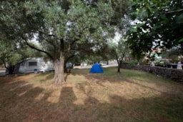 Camping Bor - image n°21 - Roulottes