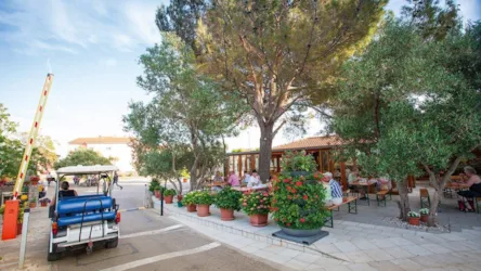 Camping Bor - image n°2 - Camping Direct