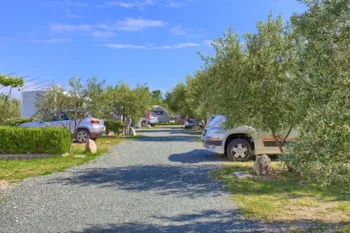 Stellplatz - Stellplatz Basic - Camping Bor