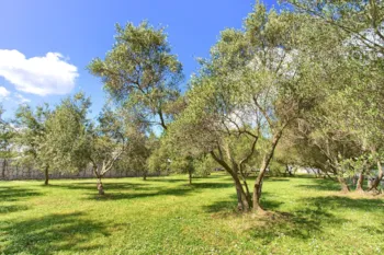 Stellplatz - Basic Stellplatz - Camping Bor