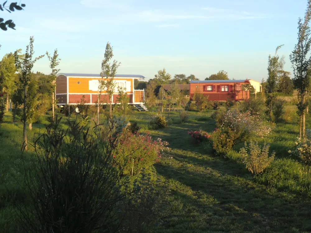 La Ferme de l'Autruche Drômoise - image n°1 - Camping2Be