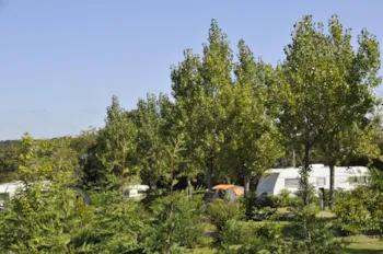 Emplacement - Empl, Véhicule, Électr, - Camping Les Prairies de L'Etang