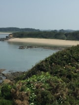 Foto #16 van Camping Les Prairies de L’Etang