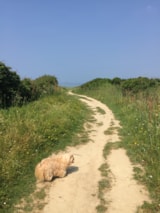 Foto #32 van Camping Les Prairies de L’Etang