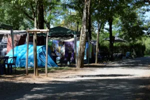 Emplacement - Pitch + vehicle + electricity 10A - Camping Le Grillou