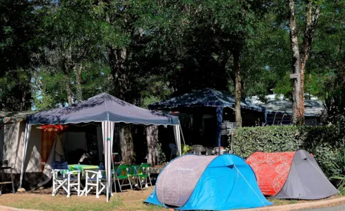 Pitch - Pitch + Vehicle + Electricity 10A - image n°2 - Camping Le Grillou