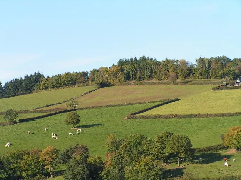 Camping les Genêts du Morvan - image n°8 - UniversalBooking