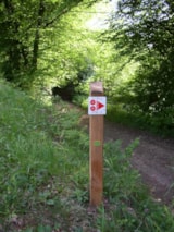 Foto #13 van Camping les Genêts du Morvan