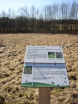 Foto #15 van Camping les Genêts du Morvan