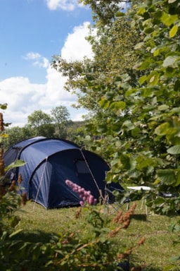 Camping les Genêts du Morvan - image n°3 - Roulottes