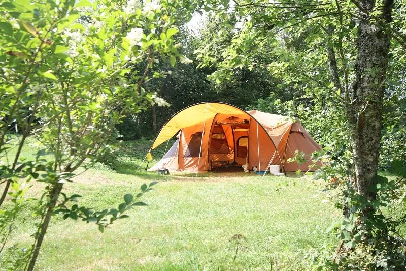 Pakket Nature : Standplaats: auto + tent / caravan of kampeerauto