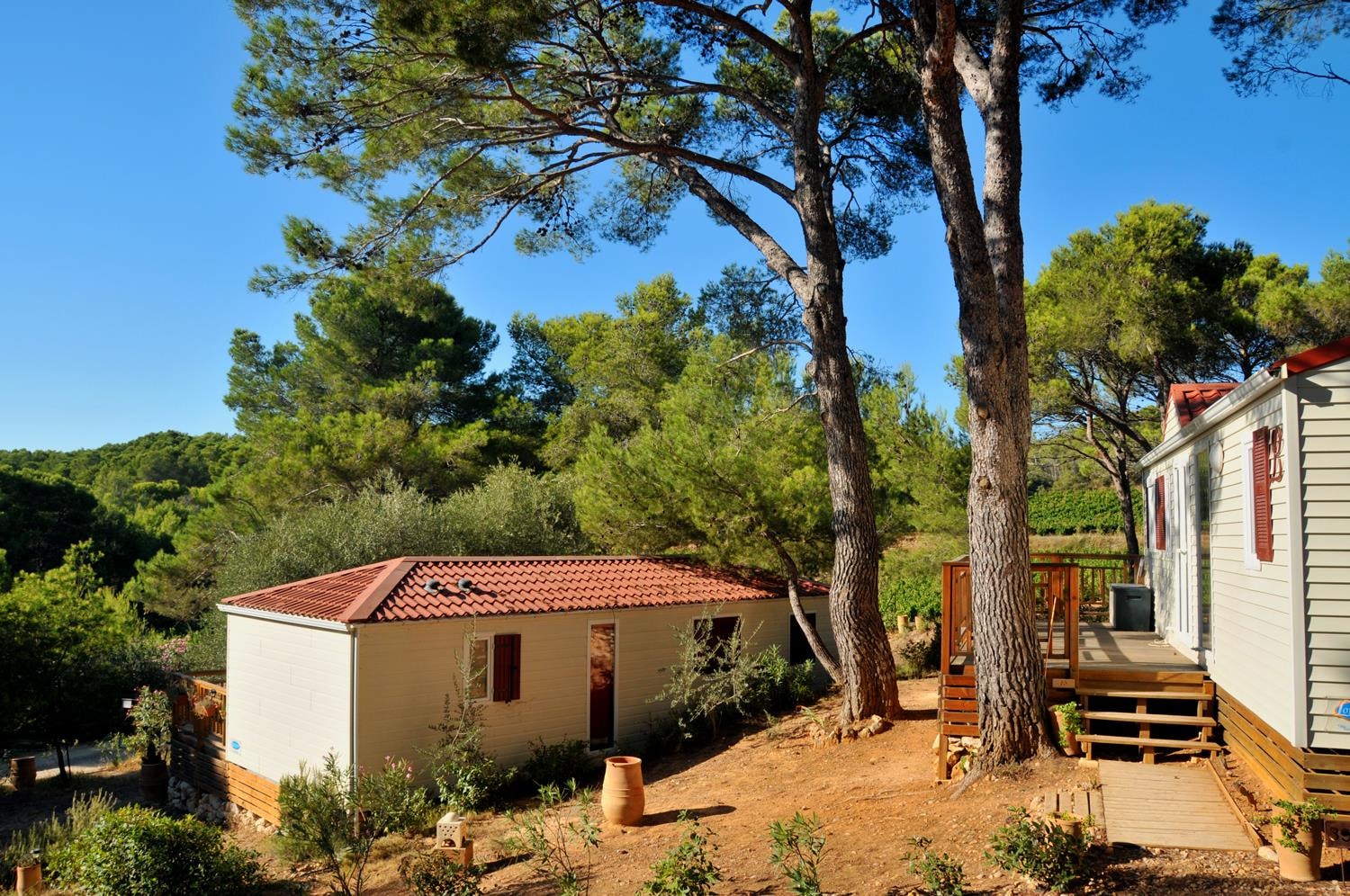 Camping Résidentiel La Pinède — Photo 7