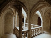 Camping Résidentiel La Pinède