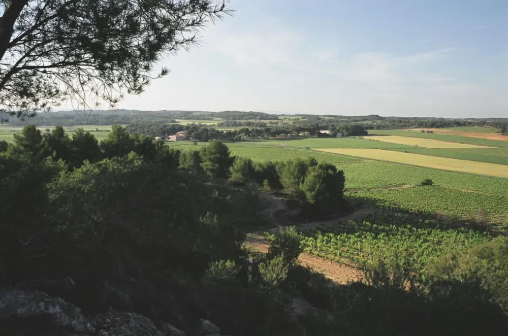 Camping Résidentiel La Pinède