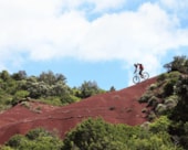 Camping Résidentiel La Pinède