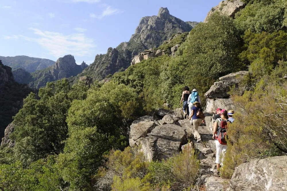 Camping Résidentiel La Pinède