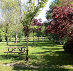 Camping du moulin de Thoard - image n°2 - Camping Direct