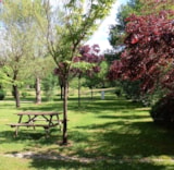 Foto #2 van Camping du moulin de Thoard