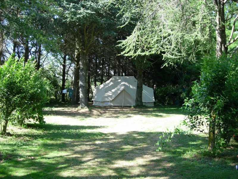 Emplacement Privilège+ Avec Éléctricité 16A, Camping-Car Ou Voiture + Tente/Caravane