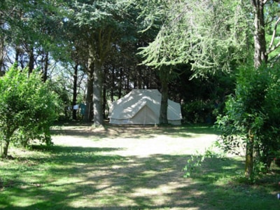 Privilege+ pitch with 16A electricity, motorhome or car + tent/caravan
