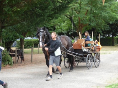 Package Horserider : 1 horse + tent + electricity 6A
