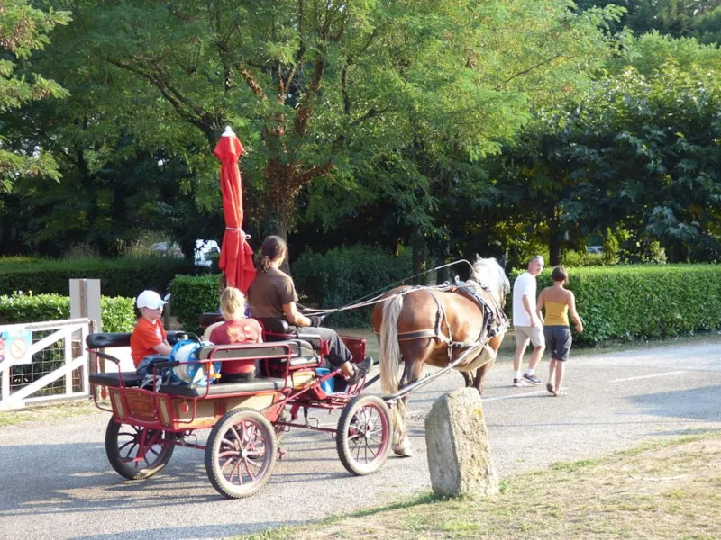 Forfait Cavalier : 1 Cheval + Tente + Électricité 6A