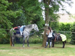 Pitch - Package Horserider : 1 Horse + Tent + Electricity 6A - Éco-Camping La Porte d'Autan