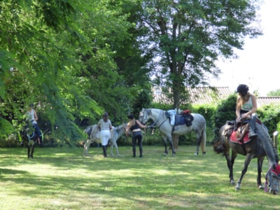 Package Horserider : 1 horse + tent + electricity 6A