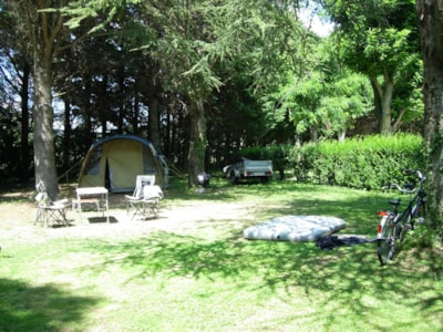 Privilege+ pitch with 16A electricity, motorhome or car + tent/caravan