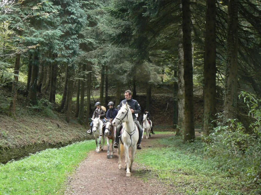 Éco-Camping La Porte d'Autan - image n°20 - UniversalBooking