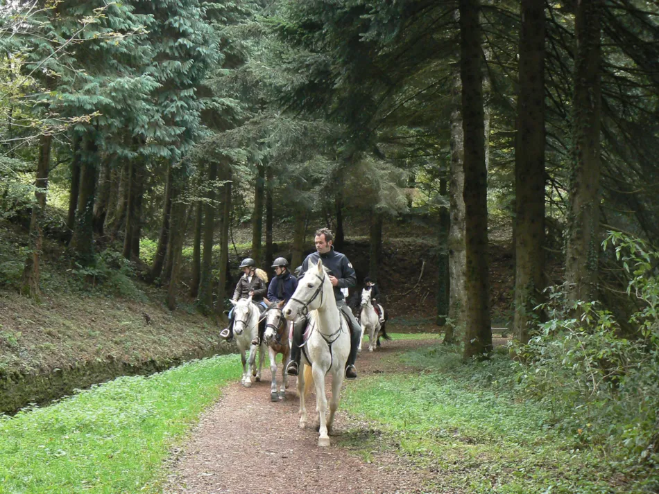 Éco-Camping La Porte d'Autan