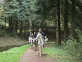 Éco-Camping La Porte d'Autan