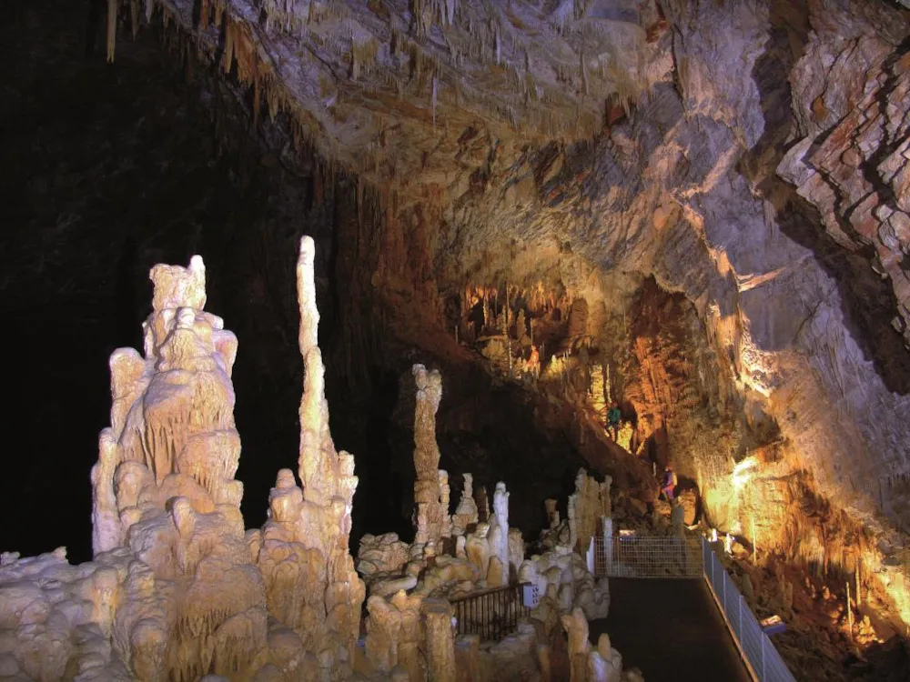 Éco-Camping La Porte d'Autan - image n°38 - UniversalBooking