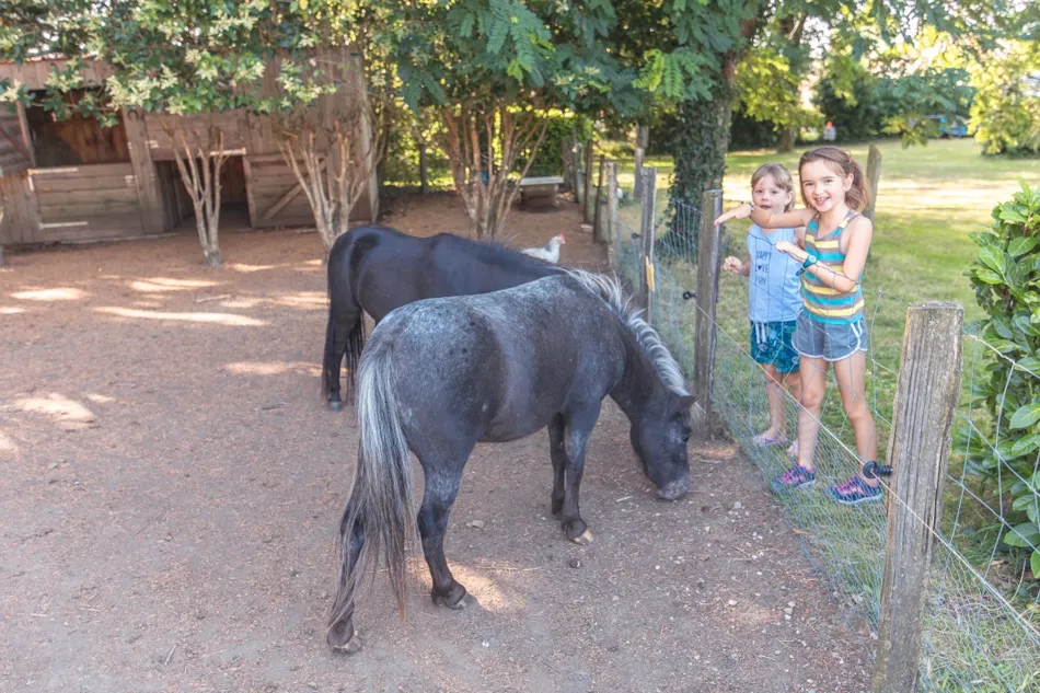 Éco-Camping La Porte d'Autan
